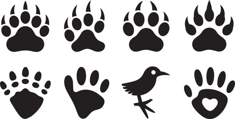 Fototapeta premium Set of animal and bird footprints and handprints isolated on transparent background