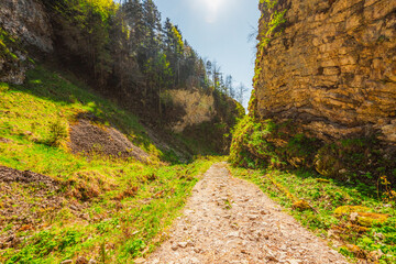 Peak Tri Koruny or Trzy Korony during day with green meadow and trees in spring. Pieniny National park in Slovakia and Poland © Zedspider