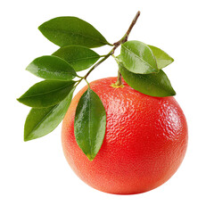 ripe grapefruit with green leaves on white background.