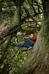 Young man relaxing on tree branch in woodland