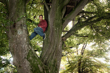 Young man sitting in large tree in autumn forest
