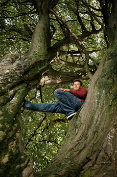 Young man relaxing on tree branch in woodland