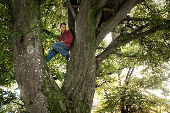 Young man sitting in large tree in autumn forest