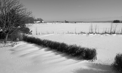 Drifting snow through the hedgerow with shadows © Cavan
