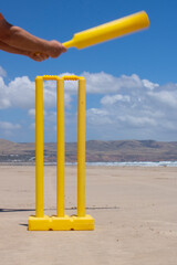 Cricket bat and wicket on the beach
