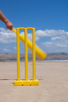Cricket bat and wicket, beach cricket