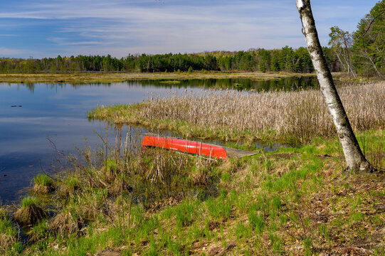 Summer Stillness at the Water&rsquo;s Edge