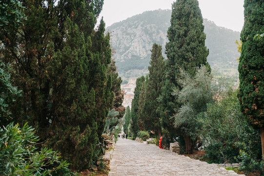 El Calvari steps framed by cypress trees and Tramuntana mountains