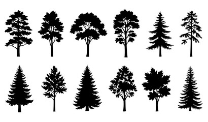 Fototapeta premium Tree Silhouette Collection Vector Illustration of Diverse Trees on White Background