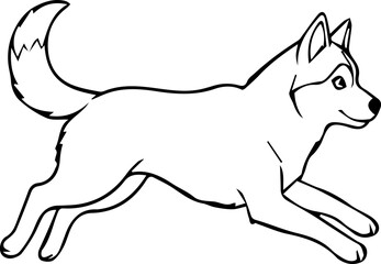Fototapeta premium husky dog pet puppy character