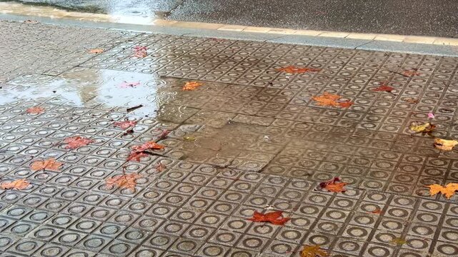 Fallen autumn leaves in puddle on rainy day on sidewalk in Barcelona, Spain