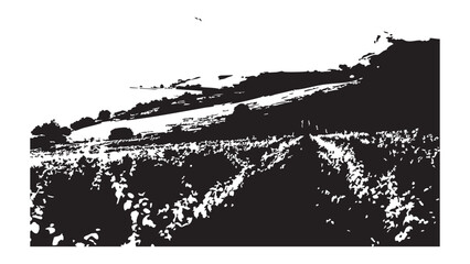 Vineyard landscape silhouette rows of grape vines on hills rural agriculture scenic view