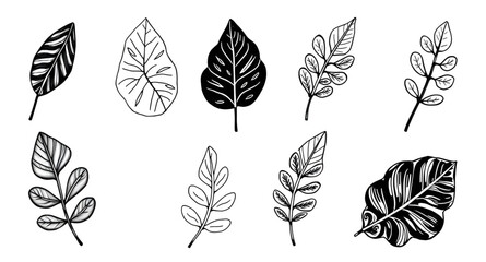 leaves, leaf, botanical, foliage, plant, nature, vector, illustration, collection, set, greenery, eco, organic, natural, flora, botany, garden, forest, decorative, design, graphic, clipart, icon, flat
