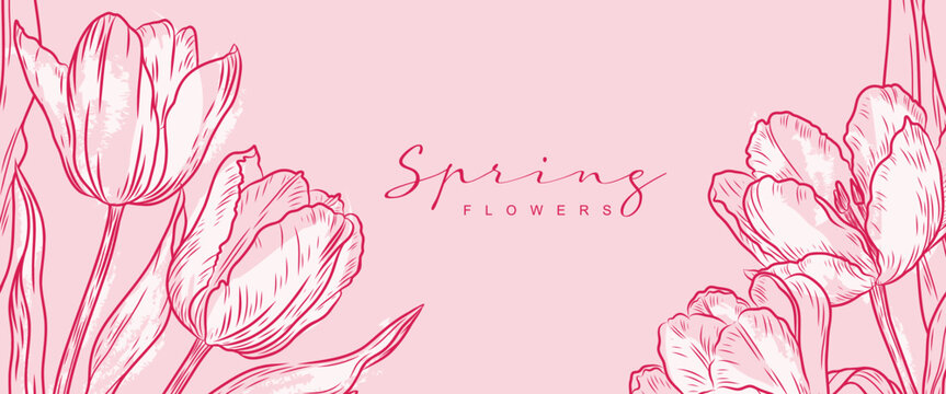 Floral background with tulips. Spring hand rawn vector flowers for greeting card, banner, poster, and design for March 8, Easter, Women's Day and Mother's Day