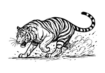 Tiger hand drawn simple sketch vector illustration