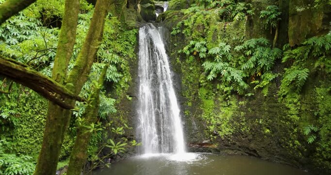 Salto do Prego waterfall is surrounded by lush green trees and a small pond