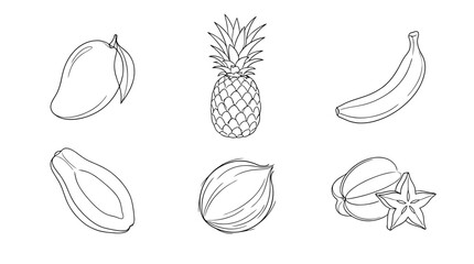 tropical fruits , 6 black delicate line drawings vector set collection , white background , PNG and SVG	