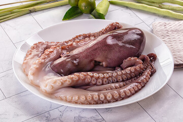 Gourmet luxury raw wild octopus © Andrei Starostin