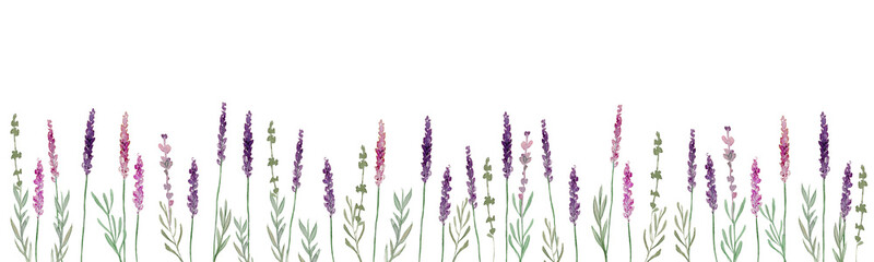 Delicate watercolor lavender field border with purple blossoms-300dpi- © URU