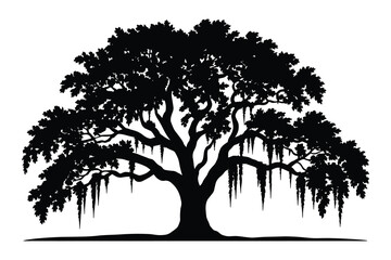 Fototapeta premium Silhouette of a grand oak tree with abundant foliage and hanging moss on a white background Keywords: oak tree, silhouette, tree
