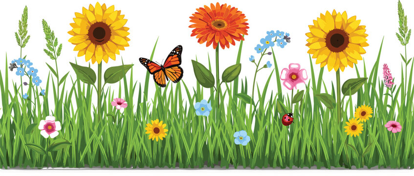 Spring meadow floral border vector featuring sunflowers orange daisies blue forget-me-nots and pink flowers in green grass with monarch butterfly and ladybug for garden nature background.