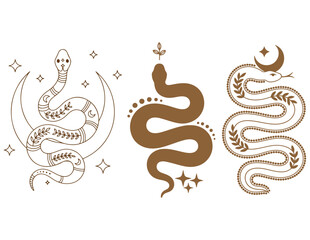 stylized snakes with celestial elements in a minimalist design