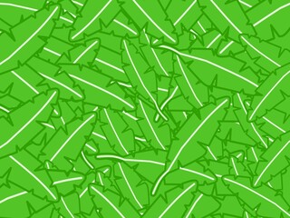 Green Banana Leaf Background © Opik