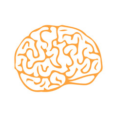 Orange Human Brain Icon