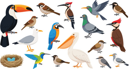 Fototapeta premium Large vector collection of different bird species including toucan parrot pelican hummingbird and seagull with a bird nest isolated on white background for nature designs.