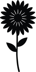 Fototapeta premium Everlasting Flower silhouette vector art Illustration