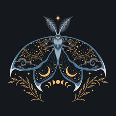 Celestial moon moth illustration. For cards, invitations, T-shirts and more.