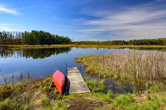 Summer Stillness at the Water&rsquo;s Edge