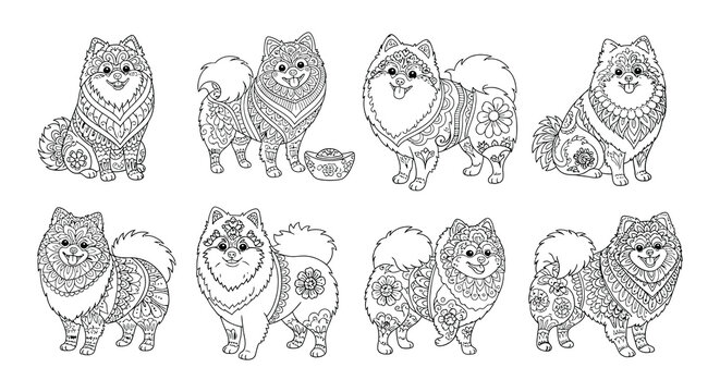 Intricate line art illustrations of pomeranian dogs in various poses