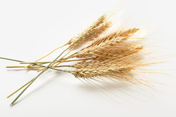 Golden wheat stalks arranged on a plain background showing the grain's texture and structure