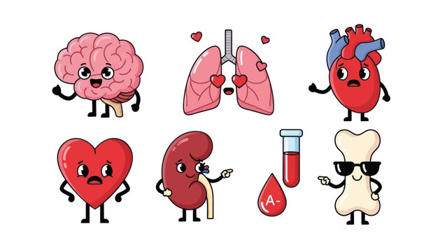 Cute Cartoon Human Organs Set with Brain, Lungs, Heart, Kidney, Blood, and Bone Characters.