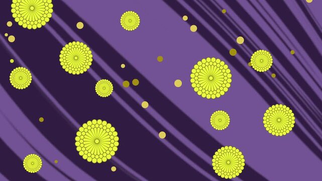 Luxury **Purple Chrysanthemum** Flower Pattern on **Japanese Silk** Background Loop