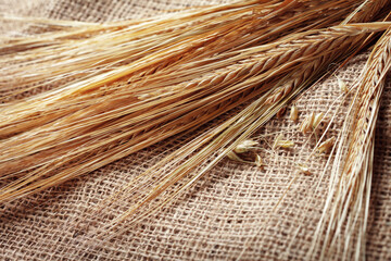 Fototapeta premium Wheat stalks arranged on a burlap textile, showcasing natural fibers and earth materials