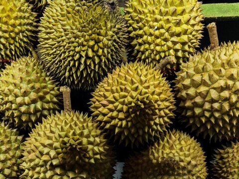 Stacked Musang King and Bawor durians at a market display, highlighting premium tropical fruit with sharp husks and rich, famous flavor