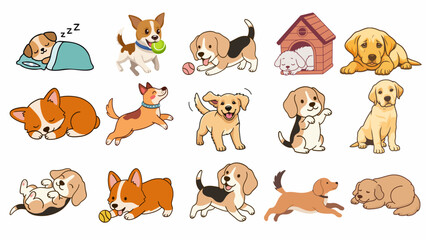 Fototapeta premium Pet Health and Veterinary Awareness Vector Illustration