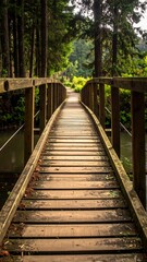 A serene wooden boardwalk winds through a lush forest