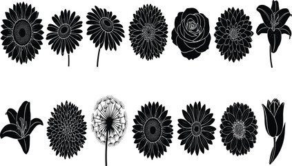 Collection of twelve stylized flower silhouette illustrations featuring diverse petal arrangements, creative floral patterns, and botanical decorative design themes © Moshraful