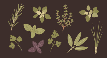 Collection of Fresh Culinary Herbs and Spices for Cooking. © Gajah