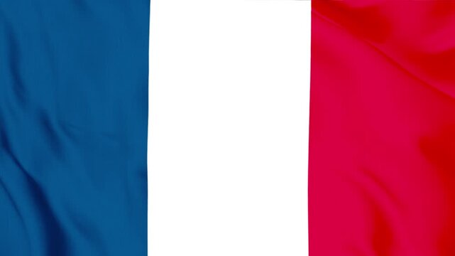 France flag on cloth in the wind textured animation background