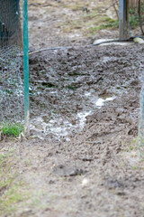 Fototapeta premium La texture boueuse et humide du sol après de fortes pluies. Des empreintes de bottes boueuses dans le sol humide dans un jardin.