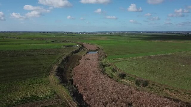 Scenic drone shot capturing a natural water stream filled with brown reeds. Features the surrounding expansive green fields and a beautiful cloudy sky over the Moroccan countryside.