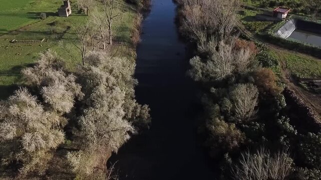 Close-up aerial shot looking down at a Moroccan irrigation canal. Features the dark flowing water, dense silver-leafed trees, and the intricate natural ecosystem of the Loukkos river valley.