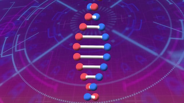 Stylized DNA double helix descending and rotating, splitting then rejoining to show molecular model