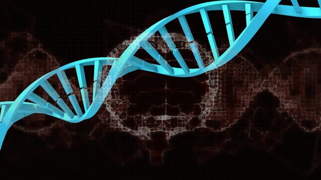 Small cyan blocks appearing right, forming cyan helix, rotating toward eye, visualizing neural DNA