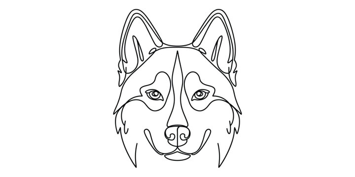 Minimalist siberian husky head line art illustration