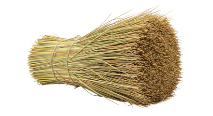 Photo-realistic Natural Whisk Broom Head Bundle for Household Cleaning